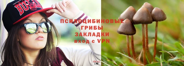 хмурый Заводоуковск
