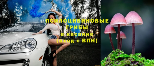 PSILOCYBIN Заволжск