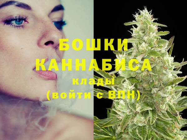 хмурый Заводоуковск