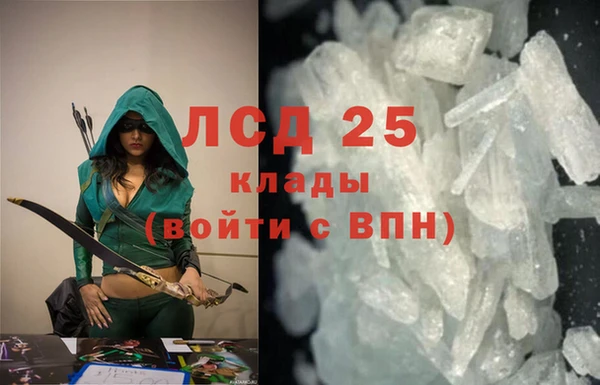 PSILOCYBIN Заволжск