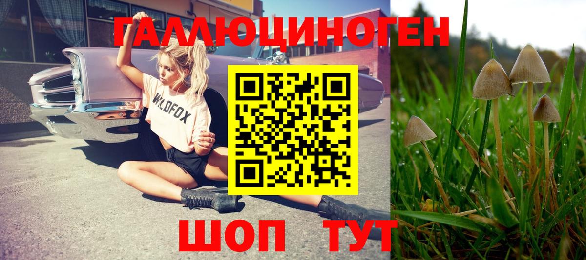 Галлюциногенные грибы ЛСД Северобайкальск